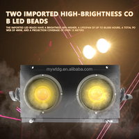 Projecteur LED COB Blanc Chaud pour Scène, Étanche IP65, DMX512, pour Fêtes et DJ, 2 Yeux, Type Par