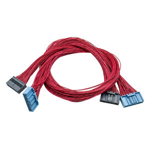 制造商定制 Molex 3.0 汽车连接器线束防水公母电气端子电缆组件 - Product Image 5
