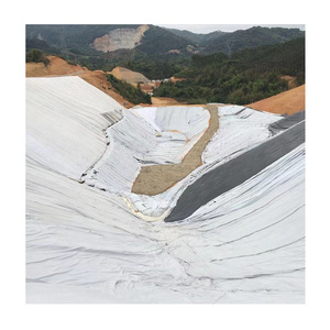 Vải địa kỹ thuật không dệt công nghiệp PP 100g 200g 300g 400G 500G 550g 560 580g vải địa kỹ thuật xơ dừa tùy chọn trọng lượng khác nhau - Product Image 5