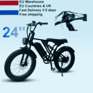 EU Warehouse Y-24 250W/500w 48v Rear Hub Motor 24 Inch Fat Tire Vintage E Bike V8 Electric Fat Tire Bicycle adult electric bike