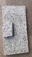 Dalles et Plaques de Granit Diamanté Gris Clair Naturel Poli sur Mesure Eastern Stone Century pour Revêtement Mural et de Sol – Garantie 5 Ans
