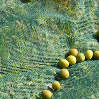 Matériau Hdpe – filets de récolte d'olive 8x12 8x100/filet de récolte de brouillard
