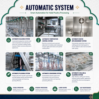 Ligne d'abattage de volailles 300-1000BPH CE ISO pour abattoirs de petite et moyenne taille, équipement d'abattage de poulets sans ligne d'installation