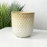 Pot de fleurs hydroponique pour plantes vertes, style nordique minimaliste, dégradé effet fourné, gaufré, résistant à la corrosion