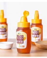 Usine PP Remplissage à chaud Sauce miel Mayonnaise Sauce chili Bouteilles à presser en plastique Condiment
