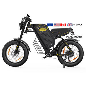 Bicicleta Eléctrica de Montaña Varun de Alta Velocidad, 45 km/h, Motor Peak de 1000 W, Neumáticos Gruesos de 20 Pulgadas, Autonomía de 100 km, Bicicleta Eléctrica Todoterreno para Ciudad - Product Image 1