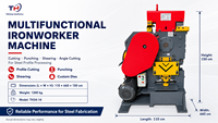 Machine à découper et à poinçonner le fer, pour profilés en acier, poutres en acier, découpe et cisaillement