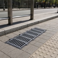 Grille de drainage en fonte ductile pour zone scolaire, système de drainage rectangulaire robuste pour l'eau