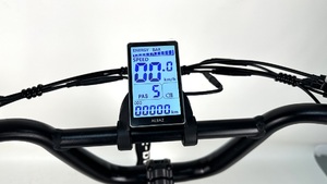 QUEENE/électrique Super puissant vitesse maximale 50km 1000w moteur vélo adulte Ele 20 pouces hors route gros pneu 48v 70km vélo électrique - Product Image 6