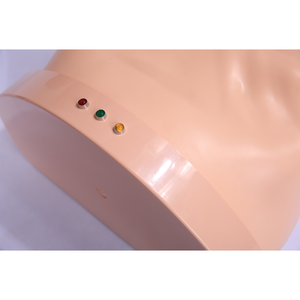 Formateur avancé de <span class=keywords><strong>réanimation</strong></span> cardio-pulmonaire électronique en PVC CPR195 certifié ISO9001/ISO14001, demi-corps médical - Product Image 6