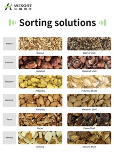 Wesort Kleine Huishoudelijke Kastanje Sorteermachine Voor Enkele Trechter Pijnboompitten Badamu Sorteerapparatuur Voor Voedselscreening Kleurensorter - Product Image 3