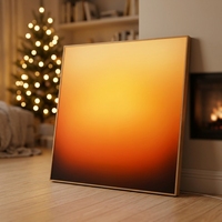 Lampe murale rétroéclairée en acrylique dégradé personnalisée de haute qualité, boîte à lumière LED avec télécommande intelligente via application