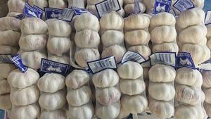 Proveedor de Ajo Chino, Ajo al por Mayor, Ajo Fresco, Vegetales, Exportador de Ajo en China, Ajo/Ajo Fresco - Product Image 5