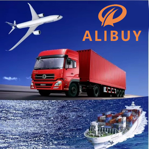 1688 Prodotti Agente di Acquisto con il Miglior Servizio di Spedizione in Tutto il Mondo Agente di Approvvigionamento - Product Image 1