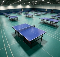 Table de ping-pong pliable pour usage domestique, 2740 x 1525 x 760 mm, pieds réglables, livrée avec un ensemble de poteaux de filet
