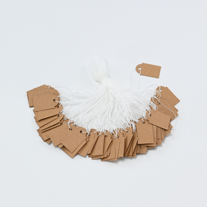 Aanpasbare zachte kraftpapier hangtags, kledingprijskaartjes, brillen- en juwelenlabels, waterdicht, milieuvriendelijk, barcode, kleding - Product Image 1