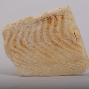 OEM/ODM高蛋白有机冻干无须鳕鳕鱼鱼汤白色标签补品味道类似牛肉鸡 - Product Image 2