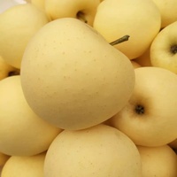 Verse Golden Delicious Appels Premium Geel Fruit Zoete Knapperige Appels Voor Groothandelsimporteurs
