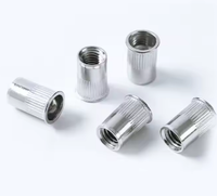 Chine fabricant 304 acier inoxydable Revet Rivet écrou en acier au carbone bande plate trou aveugle isolant rivière ancres de cloison sèche