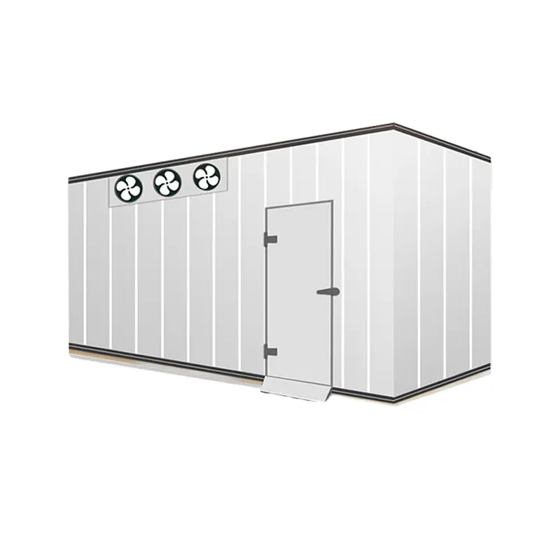 Container Mobiele Koude Kamer Mini Koelkameropslag 380V 20ft