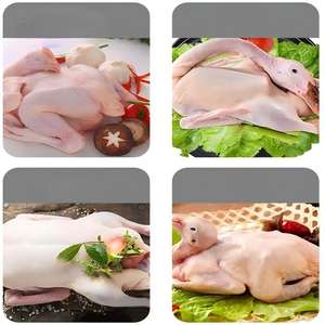 Máquina de Aspiración de Pulmones de Aves de Corral, Equipo Automático de Sacrificio de Pollos para Mataderos - Product Image 3