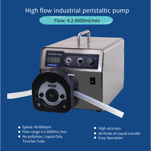 Ditron-טק WT600-2J גבוהה-זרימת brushless סרוו מנוע מכאני דלק dispenser אלכוהול peristaltic משאבת - Product Image 3