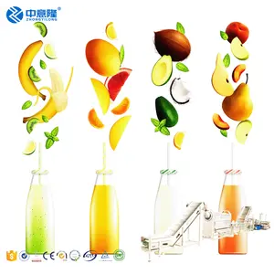 High Quality Commercial Fruit Orange Apple Juicer Ginger Mango Lemon Pineapple Cashew Juice Extractor filling Machine Supplier