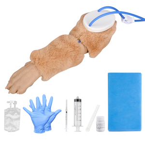Modelo de entrenamiento para inyecciones IV en patas caninas, simulador realista de venopunción en patas de perro con venas reemplazables - Product Image 6