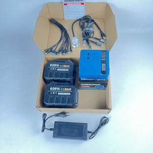 <span class=keywords><strong>Dashu</strong></span> Express Batería de litio personalizada 21V a 110/220V Convertidor inversor de corriente dc-av - Product Image 6