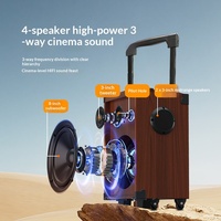 Sistema de Audio para Baile al Aire Libre, Karaoke con Altavoz Tipo Trolley 5.1, Batería de Alta Potencia de 2000-3000mAh, Control Remoto Inalámbrico