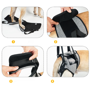 Rarreweペット用品歩行犬ハーネスカスタムロゴ多機能高齢者障害犬手術回復犬ハーネス - Product Image 4