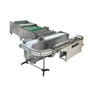 JinXin Brand Fully Automatic Disposable Plastic Cup Stacking Machine