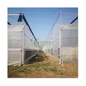 Invernadero de túnel comercial de bajo costo para invernadero de tomate Kit de invernadero de fabricación