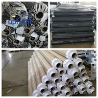 Rouleaux de PVC transparents imperméables légers et économiques, résistants au gel, pour la couverture de serres extérieures