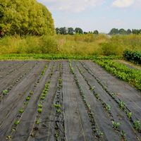 Couverture de sol en plastique agricole pour jardin, usage domestique, couverture d'herbe, contrôle des mauvaises herbes, paillis