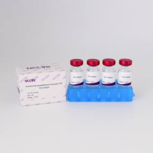 Avibacterium paragallinarum test de sérotype C HI antigène OIE pour le diagnostic infectieux de la volaille Coryza évaluation du vaccin - Product Image 2