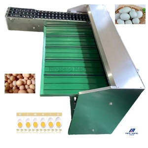 Precio de marca NP de máquina clasificadora de huevos, máquina clasificadora de huevos, lavadora, máquina clasificadora automática de huevos, Filipinas - Product Image 1
