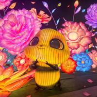 Lanterne Sihai, lanterne animatronique réaliste en forme d'abeille, ensemble de lanternes personnalisées pour le Festival des lanternes