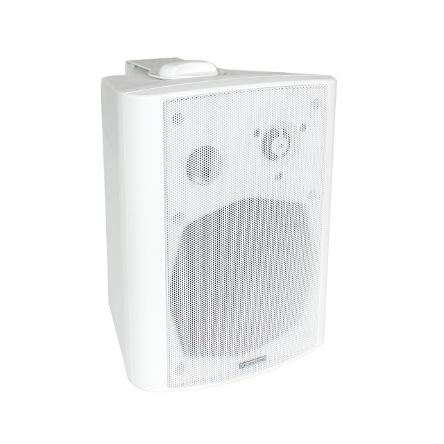 V Wall Speaker in Black/White for University Study Areas in Versatile Wall Speaker