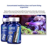 Capsules de bactéries nitrifiantes pour aquarium, bactéries bénéfiques concentrées, purificateur d'eau pour aquarium et bassin