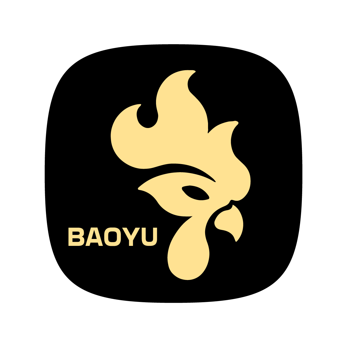 Baoyu Equipment (Wuhan) Co., Limited logo