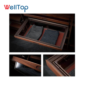 VT-10.130 현대 금속 스토리지 당겨 가죽 서랍 옷장 의류 및 상자 옷장 하드웨어에 대한 새로운 현대 옷장 액세서리 - Product Image 3