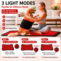 Coussin de thérapie rouge et proche infrarouge 800x360mm avec 210 LED pour le soulagement de la douleur et les soins corporels - Fabricant sur mesure en marque blanche
