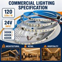 Tira de Luces LED de un Solo Color, 120 LED/M SMD 2835 24V, Efecto de Flujo, Cinta Flexible para Iluminación Decorativa Interior