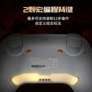 Manette de <span class=keywords><strong>jeu</strong></span> sans fil For Star 2Nova 2lite avec vibration HD, bouton arrière et joystick Hall pour PC, <span class=keywords><strong>Switch</strong></span>, Android, iOS - Product Image 4