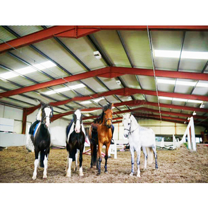 50X20X10 Hangar d'équitation intérieur en acier léger et économique, préfabriqué, avec services de soudage et de découpe - Product Image 1