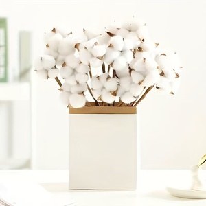 Tiges de fleurs en coton naturel, bouquet artificiel séché, décoration rustique pour la maison, style <span class=keywords><strong>Instagram</strong></span> - Product Image 4