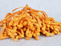 Cordyceps Militaris Kering Seluruh Tubuh Berbuah Alami, Bunga Cordyceps Kelas Makanan, Grosir dalam Jumlah Besar