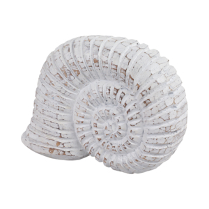 Oggetto decorativo a forma di lumaca in legno, statuetta costiera, scultura per casa, bagno, ufficio, soggiorno - Product Image 2