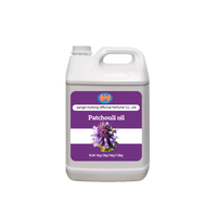 Huile de Patchouli 100% Pure Distillée à la Vapeur en Gros – Prix Avantageux – Huile Essentielle Naturelle Fraîche pour Soins de la Peau et Massage